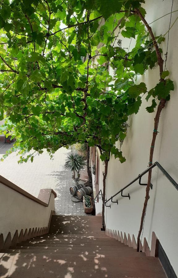 Das Landhotel Weingut Gernert ซังคท์มาร์ทิน ภายนอก รูปภาพ