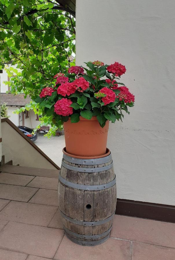 Das Landhotel Weingut Gernert ซังคท์มาร์ทิน ภายนอก รูปภาพ