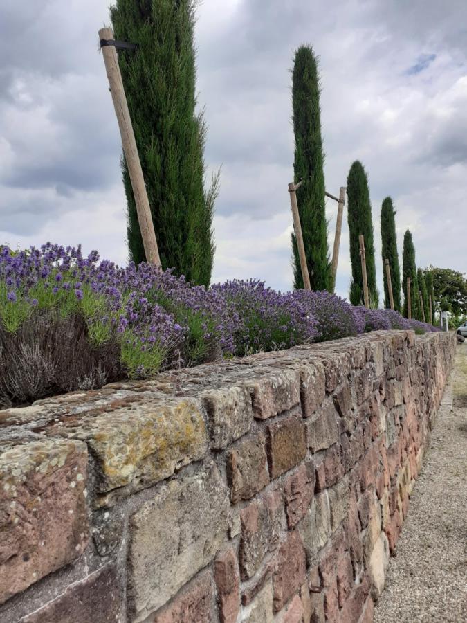 Das Landhotel Weingut Gernert ซังคท์มาร์ทิน ภายนอก รูปภาพ
